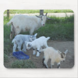 Baby Goat Family Mousepad