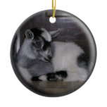 BABY GOAT GREY/WHITE CHRISTMAS ORNAMENT ornaments