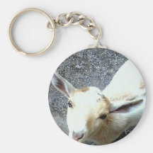 Baby Goat Key Chain