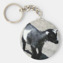 Baby Goat Key Chains