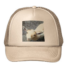 Baby Goat Mesh Hats