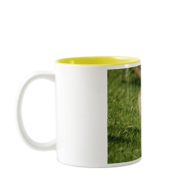 Baby Goose Looking at a Baby Mushroom Coffee Mug by sexyshirts2