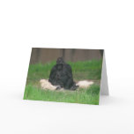 baby gorilla 001 greeting card