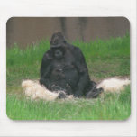 Baby Gorilla 001 Mousepad
