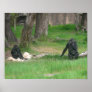 Baby Gorilla 002 20"x16" Poster