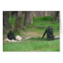 baby gorilla 002 greeting card