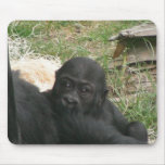 Baby Gorilla 006 Mousepad