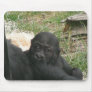 Baby Gorilla 006 Mousepad