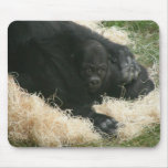 Baby Gorilla 010 Mousepad