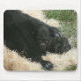 Baby Gorilla 011 Mousepad