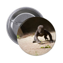 Baby Gorilla Button