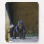 Baby Gorilla Mouse Pads