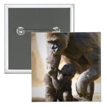 Baby Gorilla Pin
