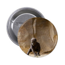 Baby Gorilla Pinback Buttons