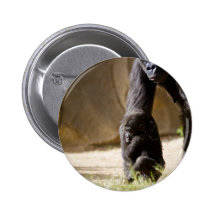 Baby Gorilla Pins