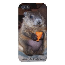 Baby Groundhog Maude iPhone Case Covers For iPhone 5