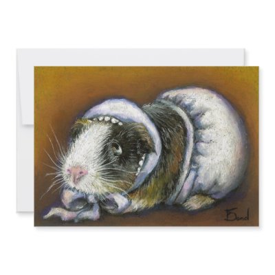 Baby Guinea Pig by tanyabond