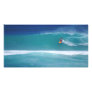 Baby Haleiwa Bullet Personalized Photo Card
