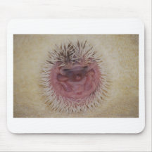 Baby Hedgehog Ball Mousepads