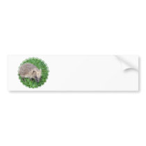 Baby Hedgehog Bumper Sticker