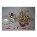 Baby Hedgehog Christmas Card