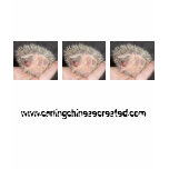 Baby Hedgehog T-Shirt