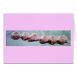 baby hedgehogs in a row cards