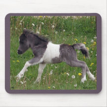 Baby Horse Mousepad