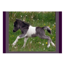 Baby Horse Profile Card Business Card