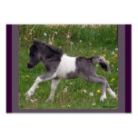 Baby Horse Profile Card business cards