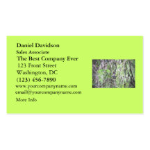Baby Hummingbirds in a Nest Business Card