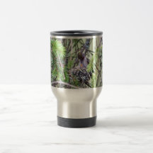 Baby Hummingbirds in a Nest Coffee Mug