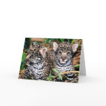 Baby Jaguar Cubs Greeting Card