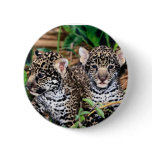 Baby jaguars buttons