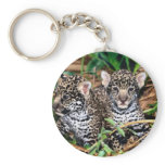 Baby jaguars keychains