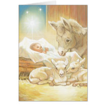 Baby Jesus Nativity with Lambs and Donkey cards