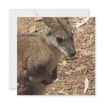 Baby Kangaroo Invitation