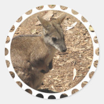 Baby Kangaroo Stickers
