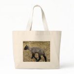 baby lamb bags