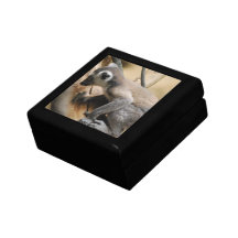 Baby Lemur Gift Box