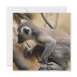 Baby Lemur Invitations