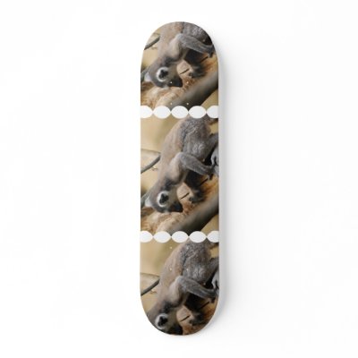 Baby Lemur Skateboard by WildlifeAnimals