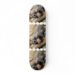 Baby Lemur Skateboard
