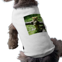 Baby Lion Cub On Branch Doggie T Shirt