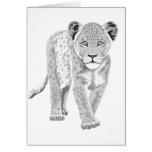 Baby Lion Greeting Cards