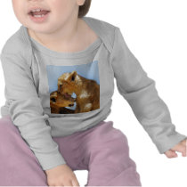 Baby lions love