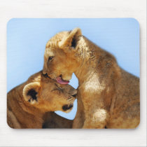 Baby lions love mouse pad