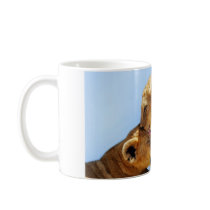 Baby lions love mugs