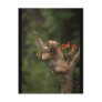 Baby Lynx Climbing Post Cards