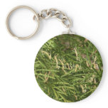 Baby Mantis ~ keychain